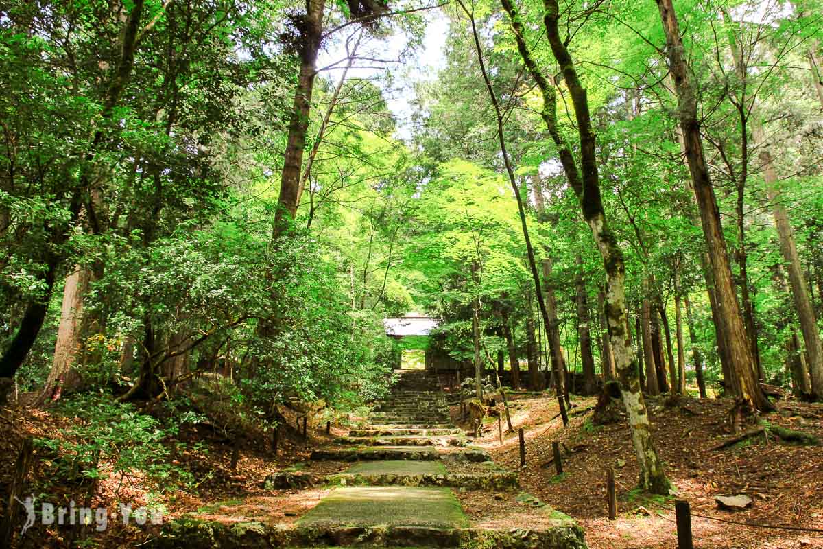 【美山景点】常照皇寺：京都乡村自由行