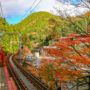 叡山電車沿線景點：叡山電車楓葉隧道交通攻略