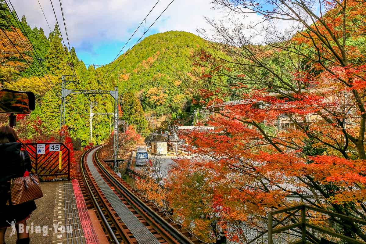 叡山电车沿线景点：叡山电车枫叶隧道交通攻略