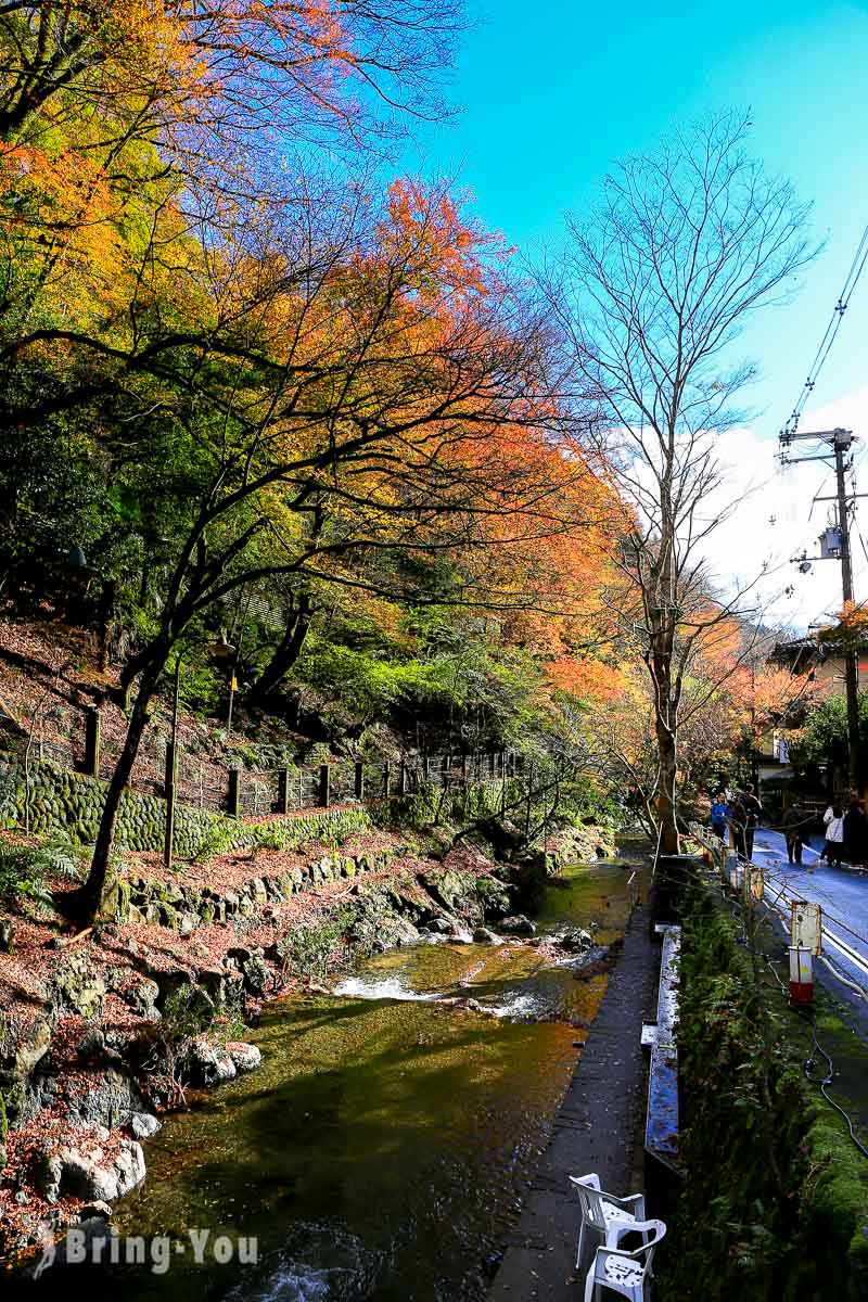 貴船神社楓葉