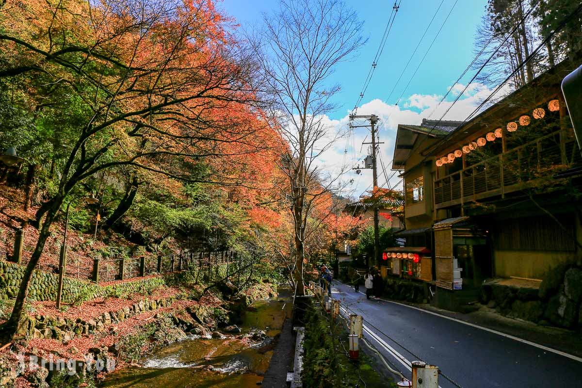 貴船神社楓葉