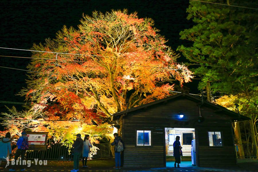 京都赏枫景点