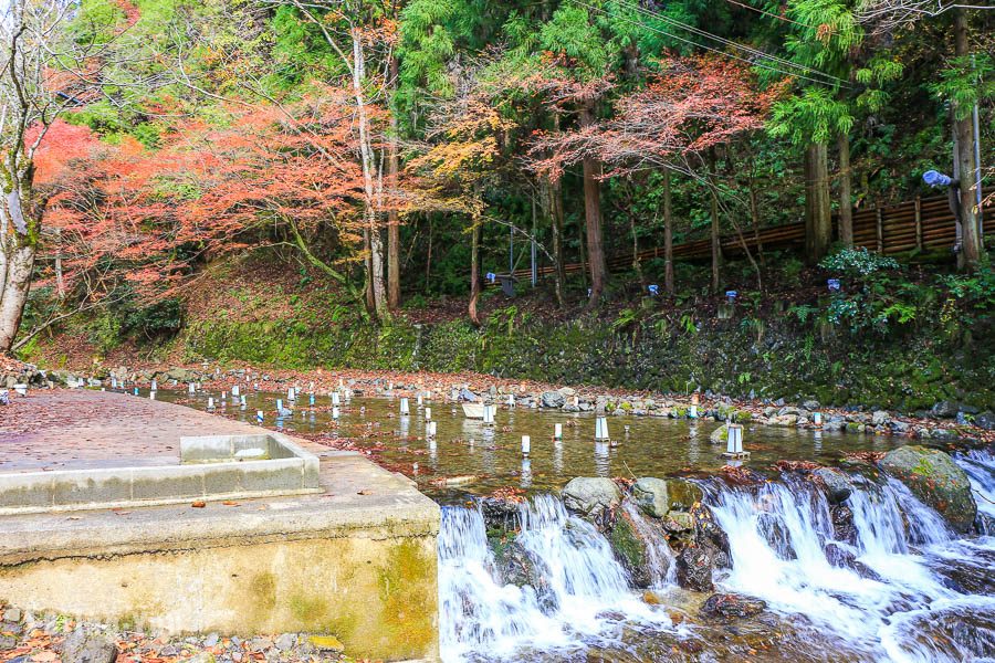 京都賞楓景點