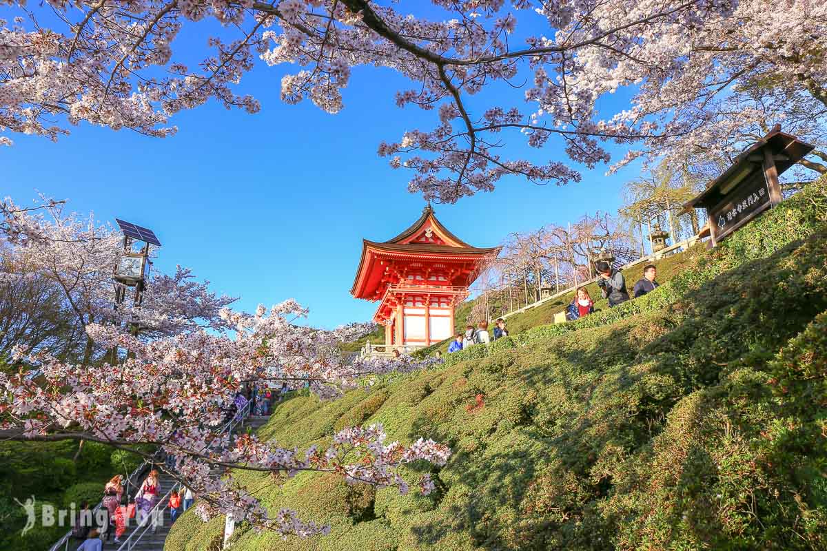 清水寺樱花