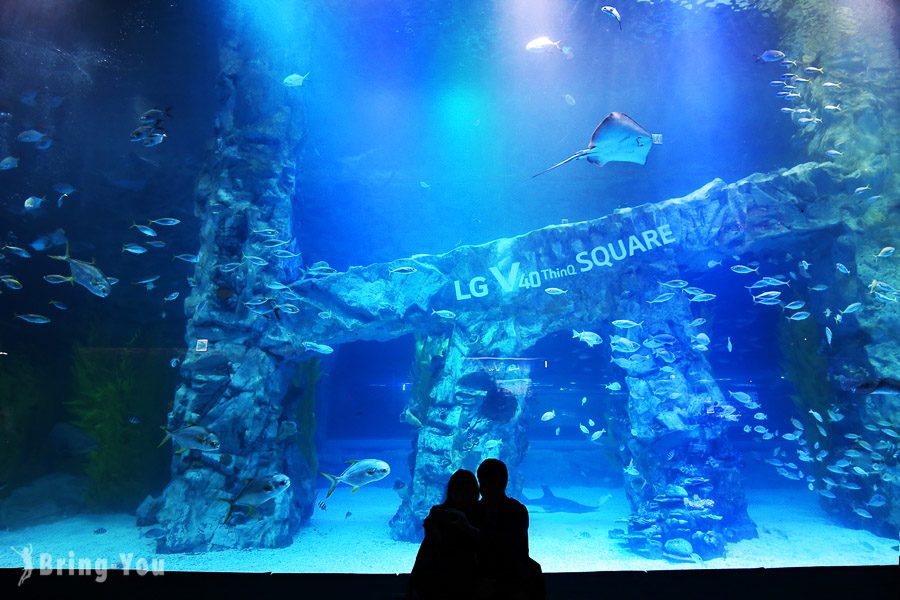 樂天世界水族館