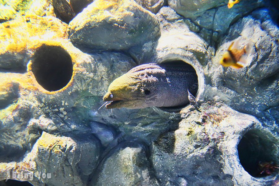 乐天世界水族馆