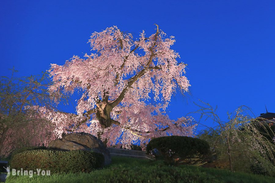 京都圓山公園