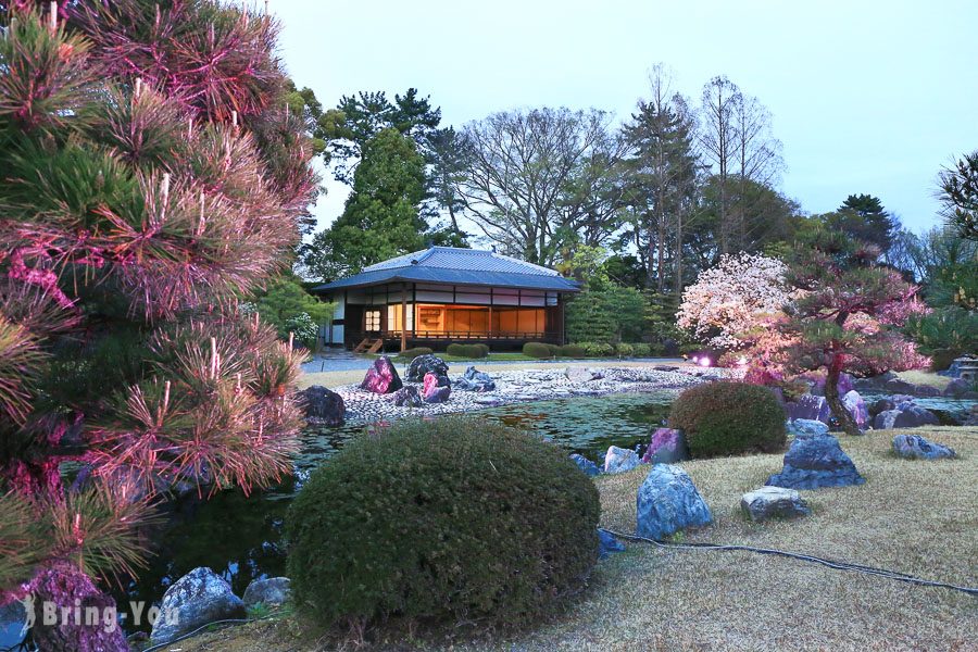 京都二条城夜樱