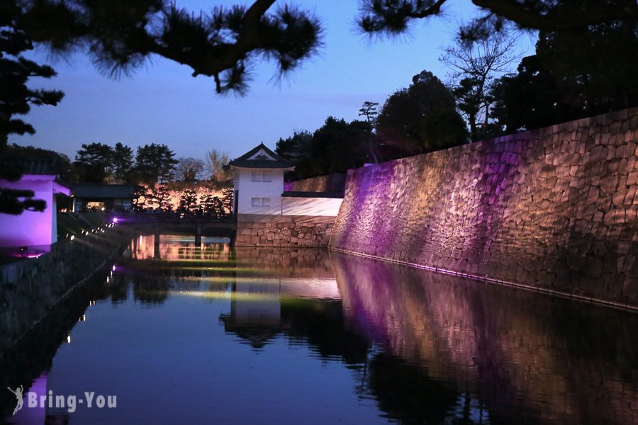 京都二条城夜櫻