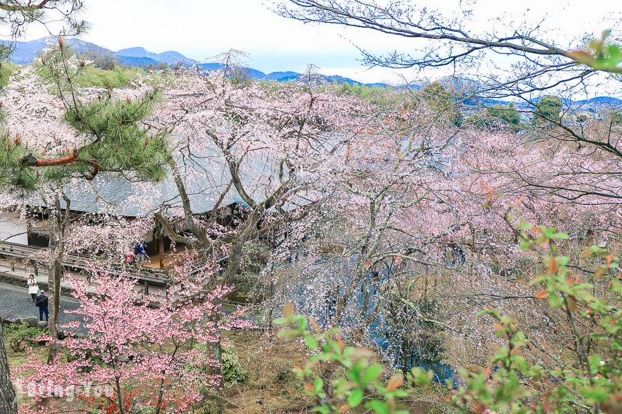 天龙寺