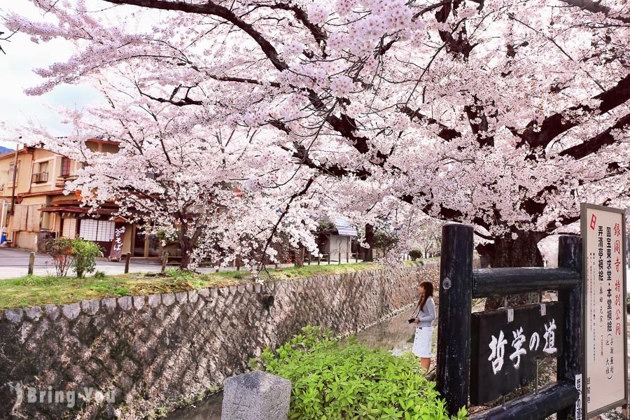 京都哲學之道