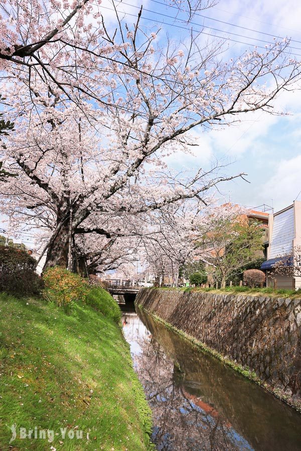 京都哲學之道