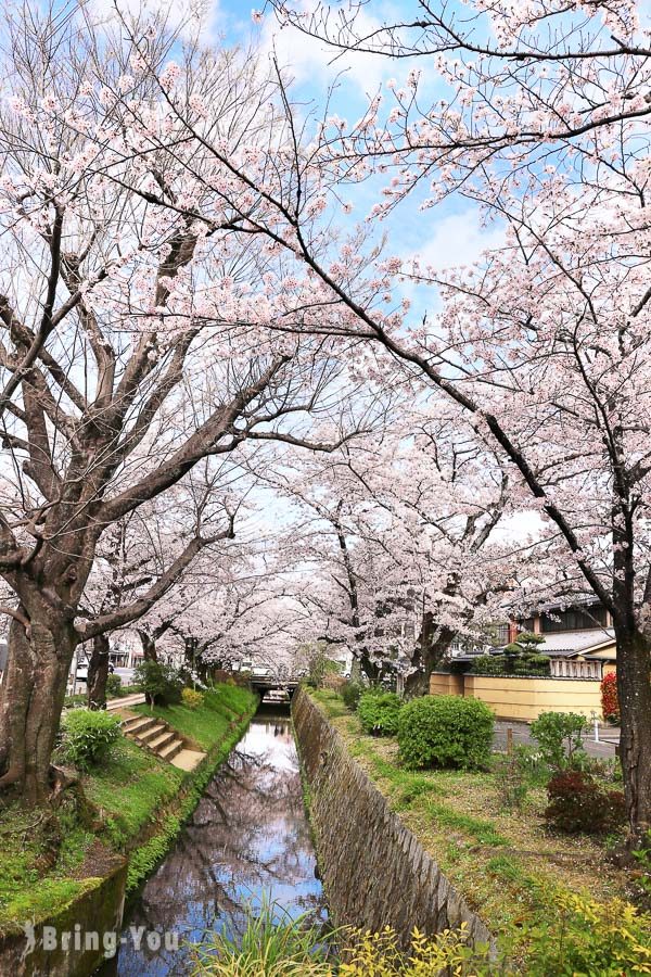 京都哲学之道