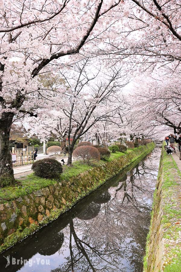 京都哲学之道