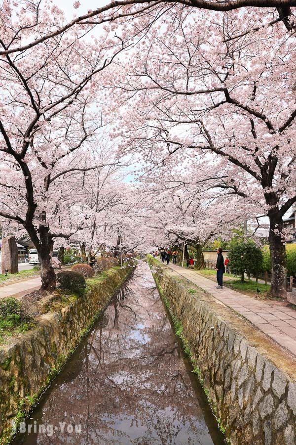 京都哲學之道