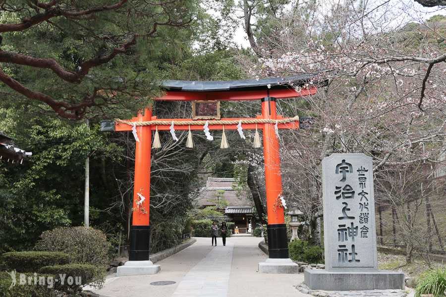 【宇治景點】宇治神社、宇治上神社：日本最古老的神社 v.s. 可愛兔子動物籤