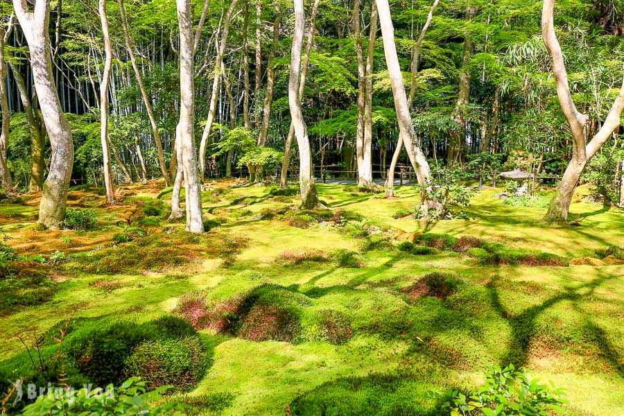 【岚山景点】祇王寺：岚山小径内静谧、充满哀愁、青苔茂密的寺庙