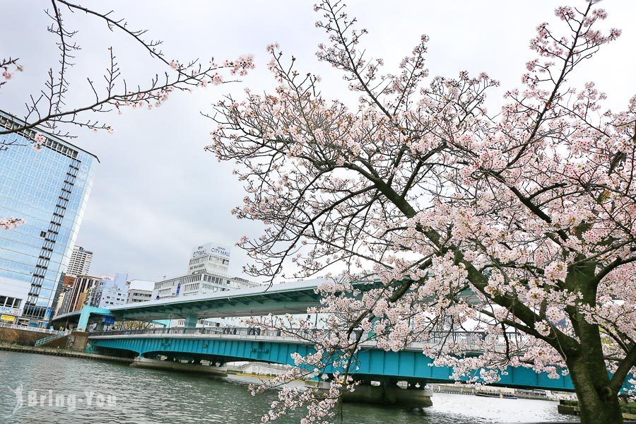 大阪造币局樱花通