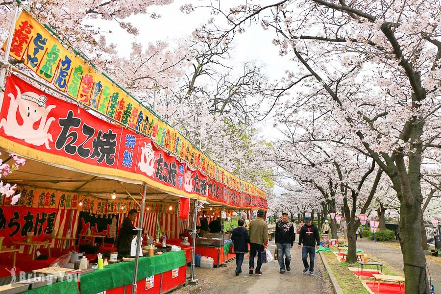 大阪造幣局櫻花通