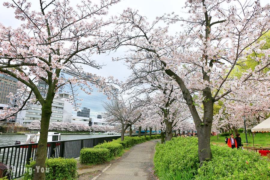 大阪造币局樱花通