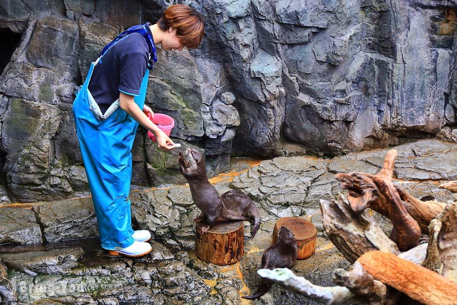 ⼤阪海遊館