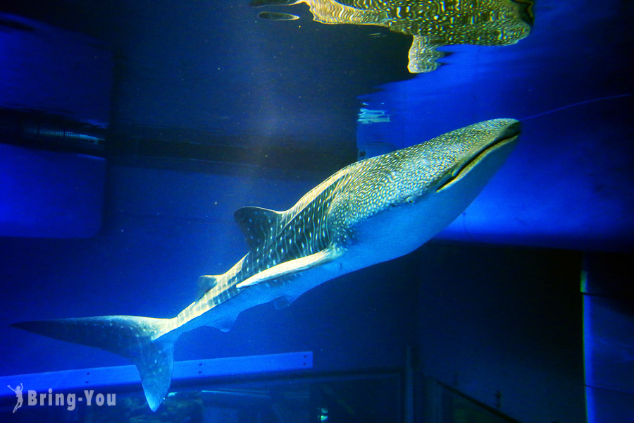 水族館