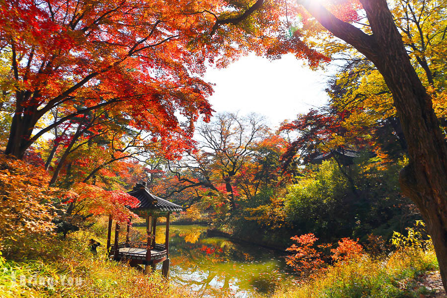 Changdeokgung Palace’s Secret Garden: Ticketing & Scenic Itinerary For First-Time Visitors