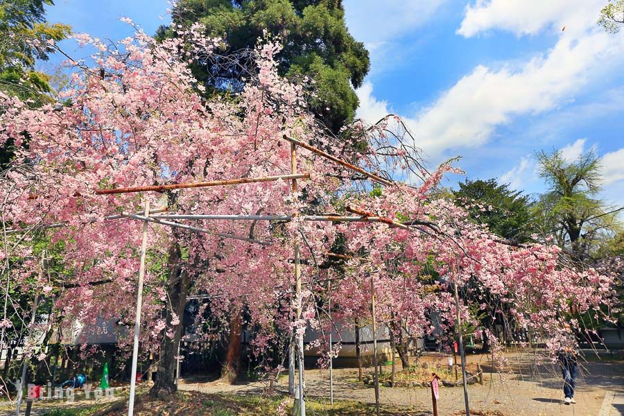 平野神社