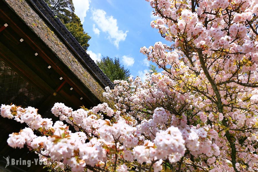 平野神社