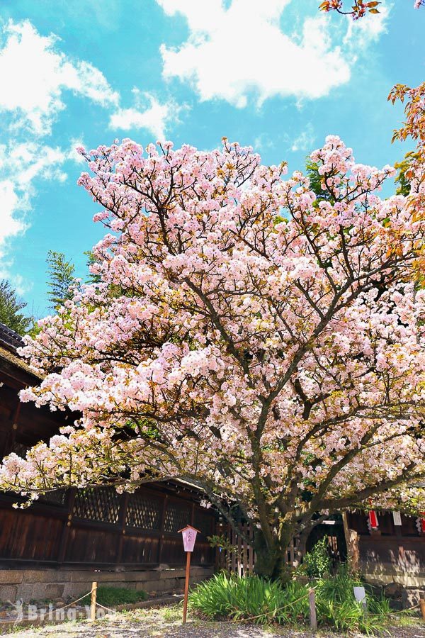 平野神社