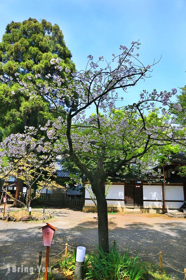 平野神社