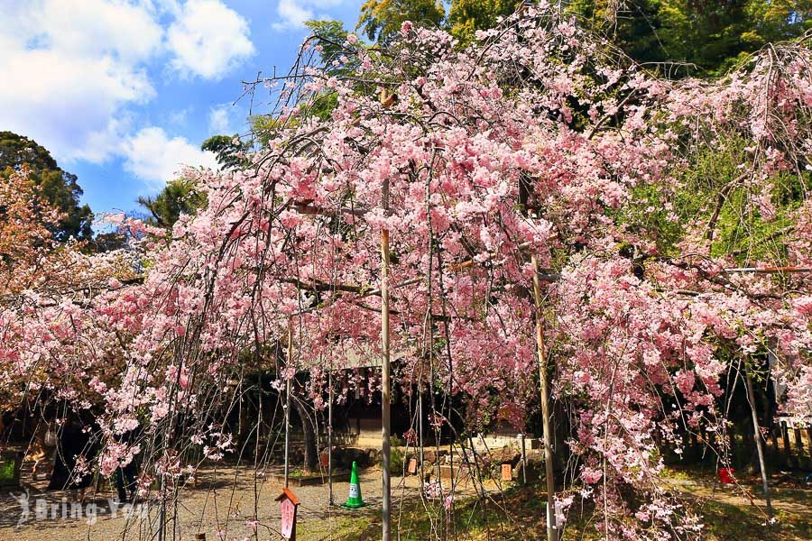 平野神社