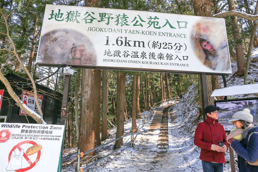 地狱谷野猿公苑