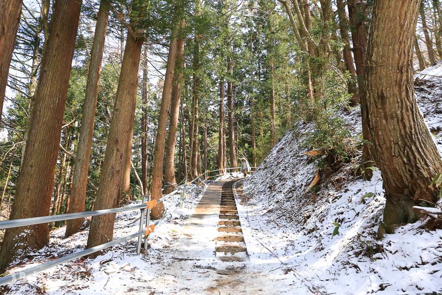 地獄谷野猿公苑