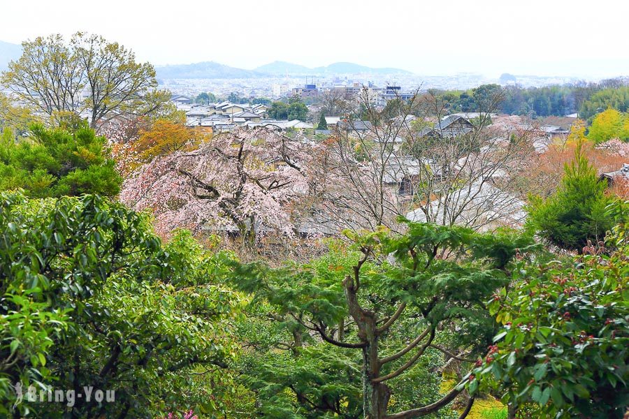 岚山常寂光寺