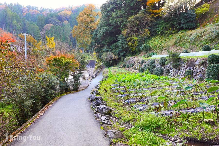 黑川温泉老街