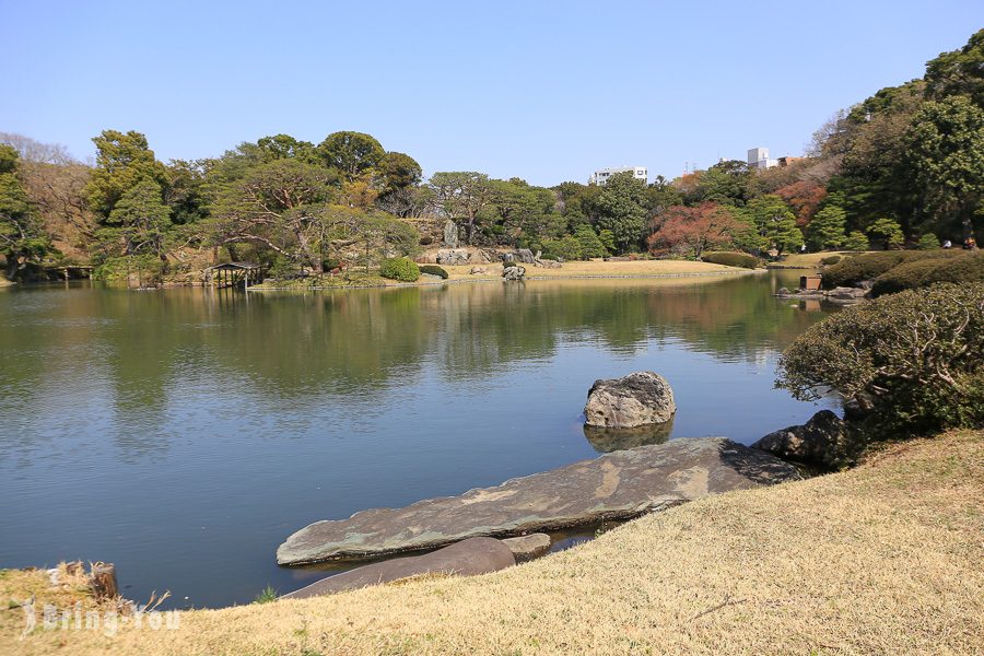 六義園櫻花