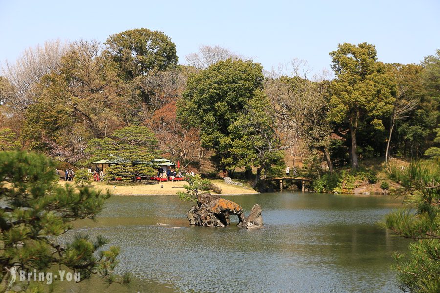 六義園櫻花