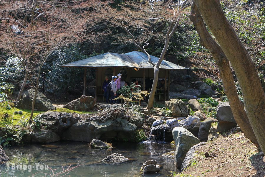 六義園櫻花