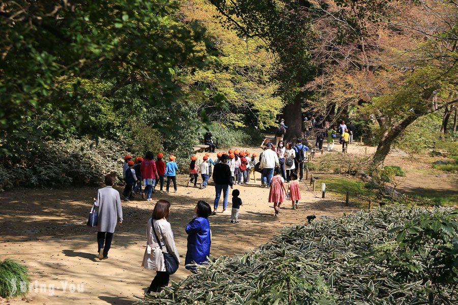 六義園櫻花