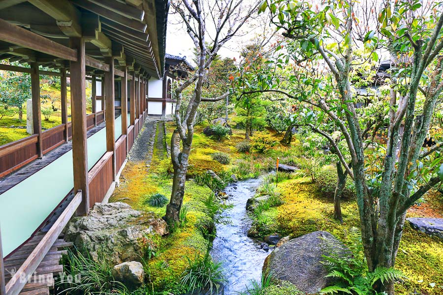 【京都岚山赏樱】天龙寺：世界文化遗产狂放满开的枝垂樱，惊为天人！