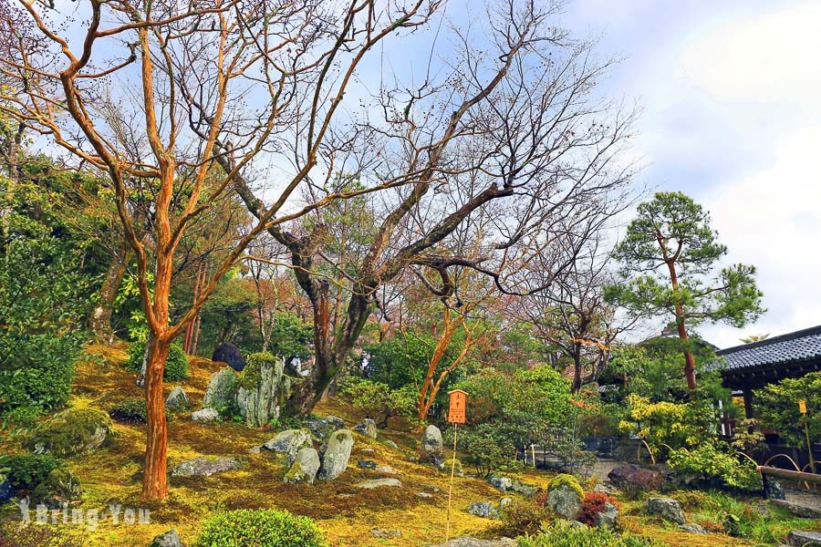 天龙寺樱花