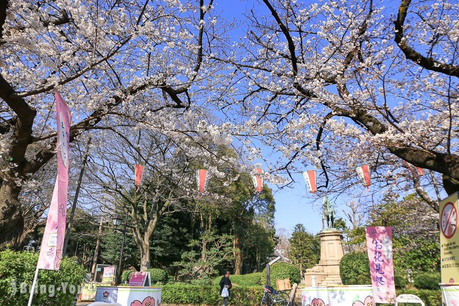 上野公園櫻花