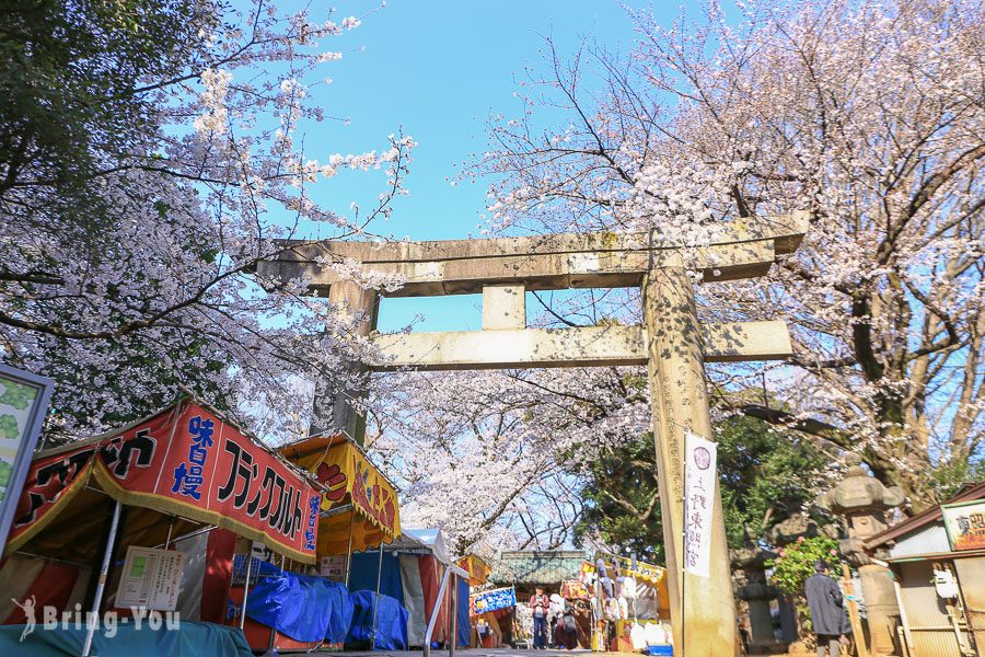 上野公園櫻花