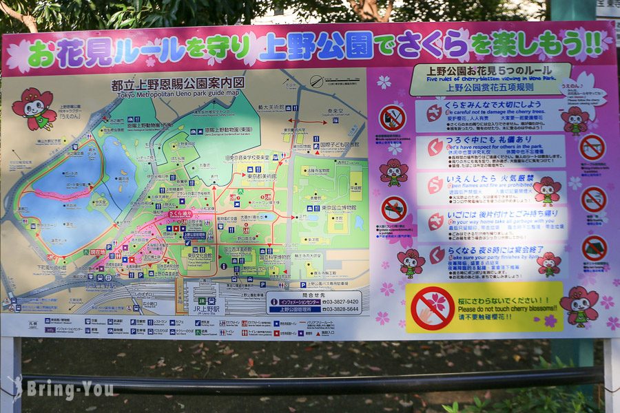 上野公園櫻花