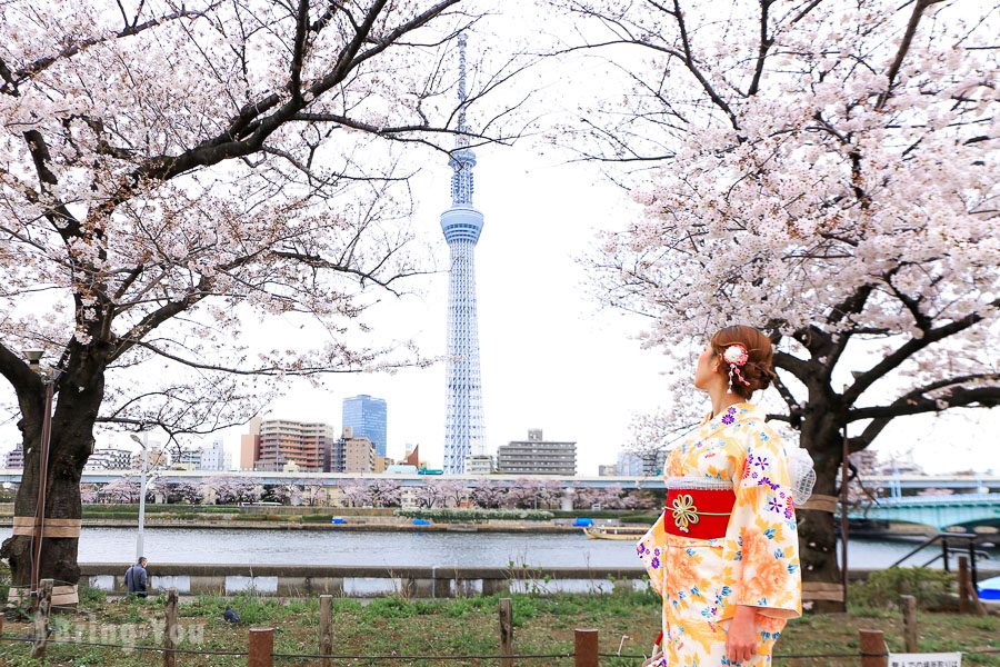 隅田公园樱花祭