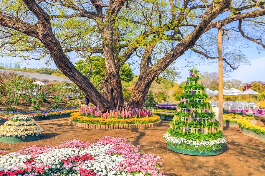 足利花卉公園