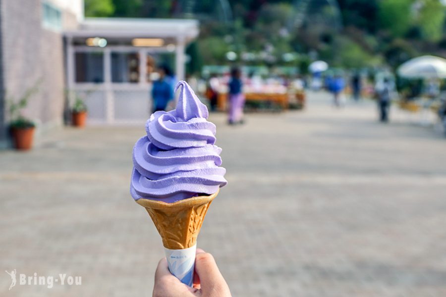 足利花卉公園紫藤冰淇淋