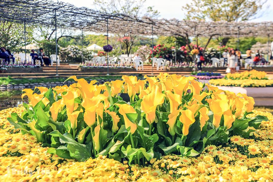 足利花卉公園花卉