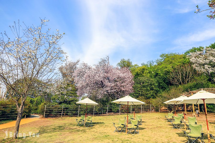 足利花卉公園